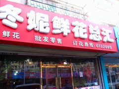 冬妮鲜花总汇 从一束花到一种生活方式